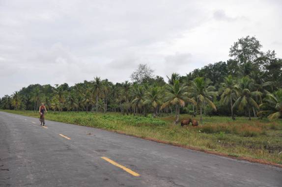 Pedalando nas estradas da Ilha de Marajó - PA